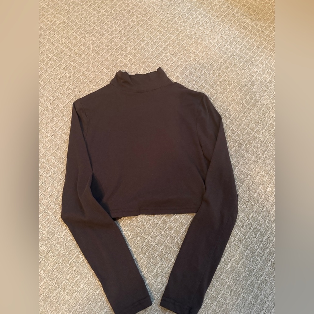 Rosio Elegant brown Long Sleeve Crop Top